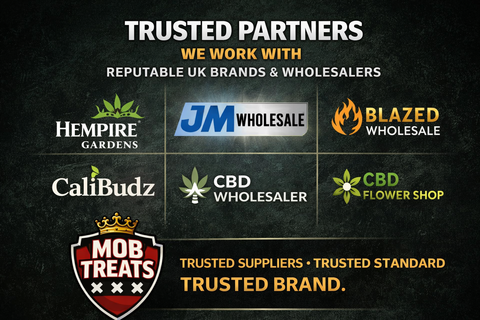 Our Trusted Partners