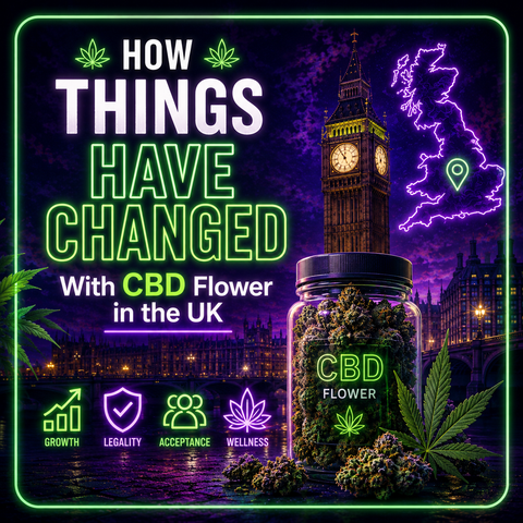 🌿 How Things Have Changed With CBD Flower in the UK